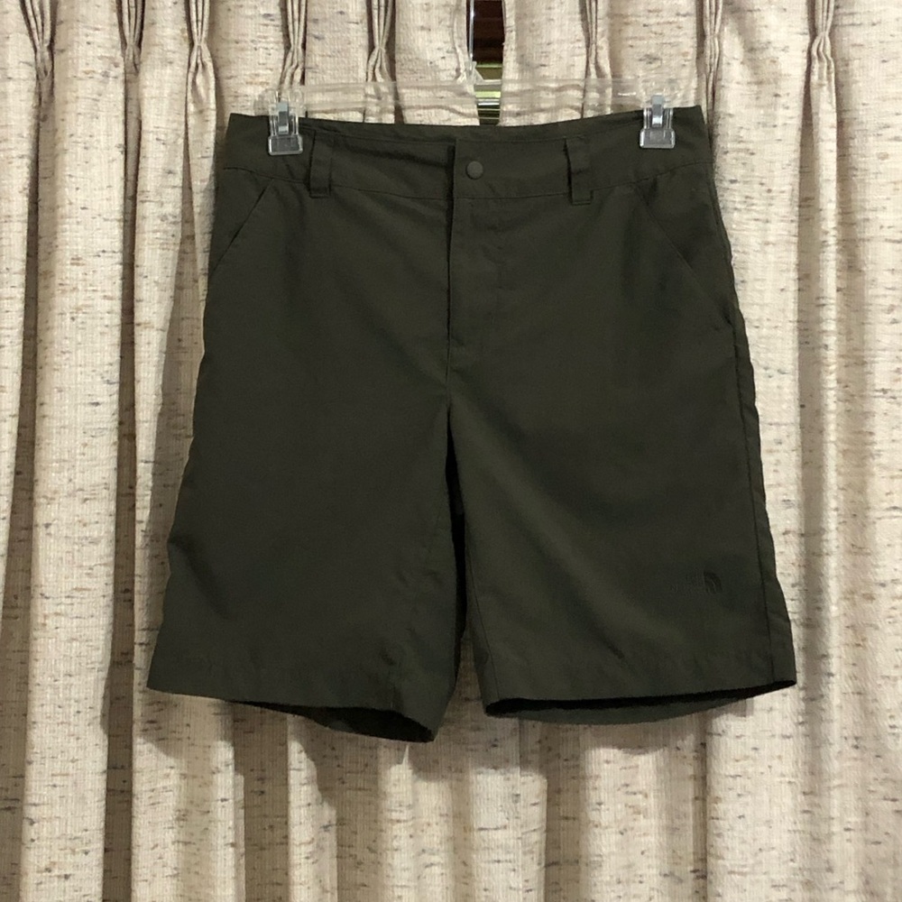 The North Face Men's Paramount Horizon Shorts